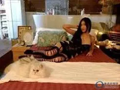 深夜推荐：《美女总裁的贴身高手173》｜成年人必读